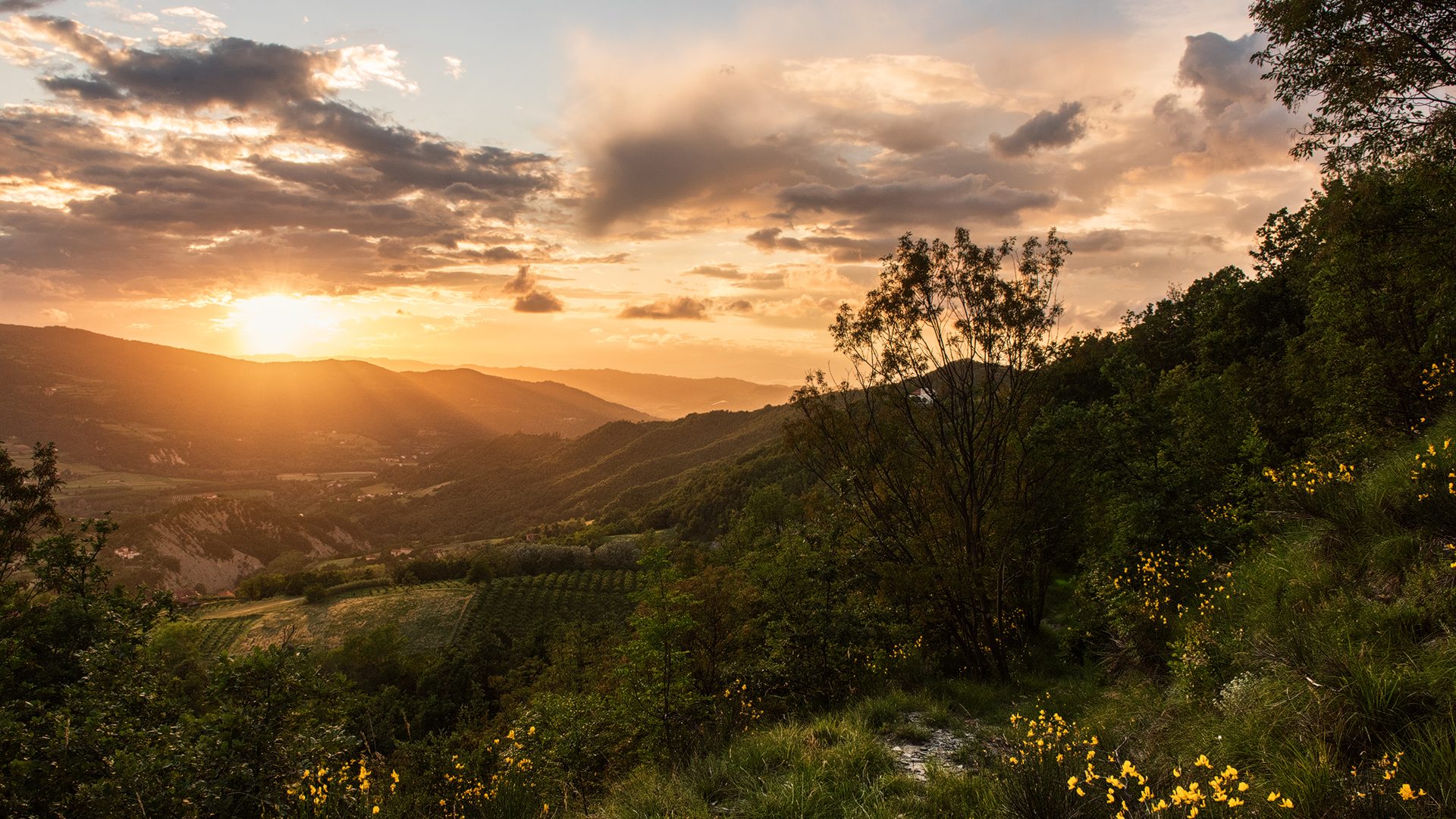 SCAVALCA MONTAGNE